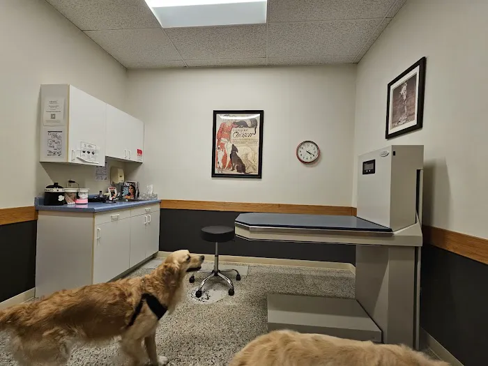 Cottage Grove Animal Hospital 4