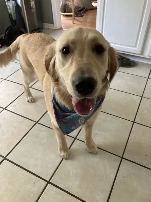 Cottage Grove Animal Hospital 5