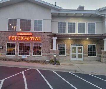 Palomino Pet Hospital & Clinic