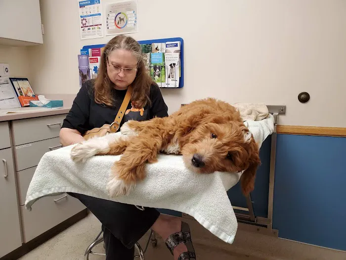 Palomino Pet Hospital & Clinic 3