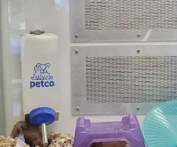 Petco