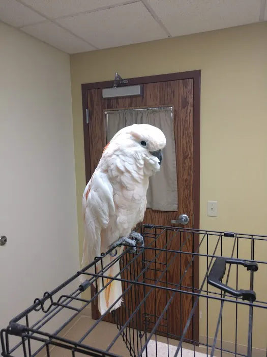 Valley View Pet Hospital 1
