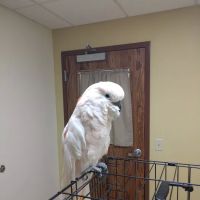 Valley View Pet Hospital ico