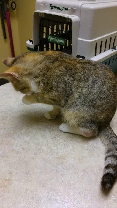 Valley View Pet Hospital 10