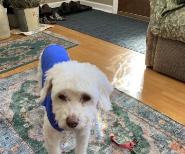 Pampered Pet Grooming & Supply