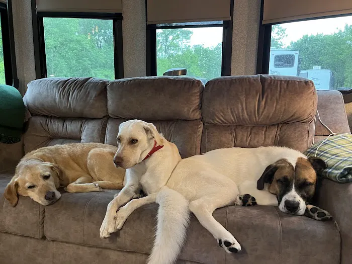 River Ridge Pet Clinic 3
