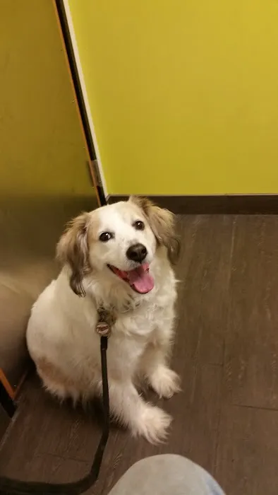 Banfield Pet Hospital 12