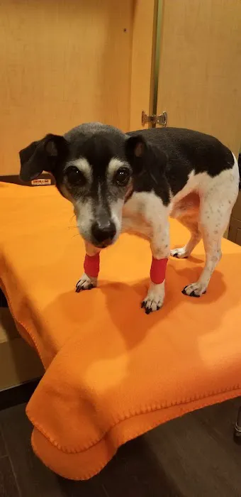 Banfield Pet Hospital 12