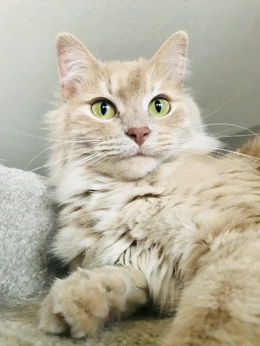 Vetco Total Care Animal Hospital 1