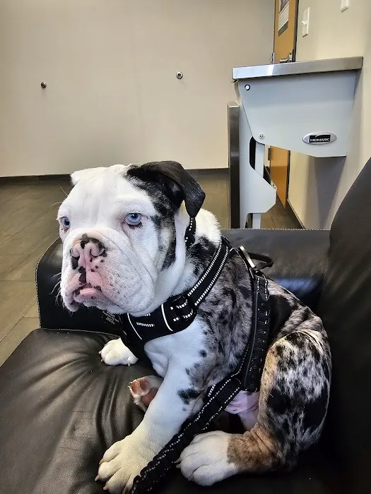 Lakeville Family Pet Clinic 2