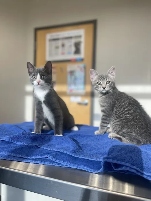 Lakeville Family Pet Clinic 5