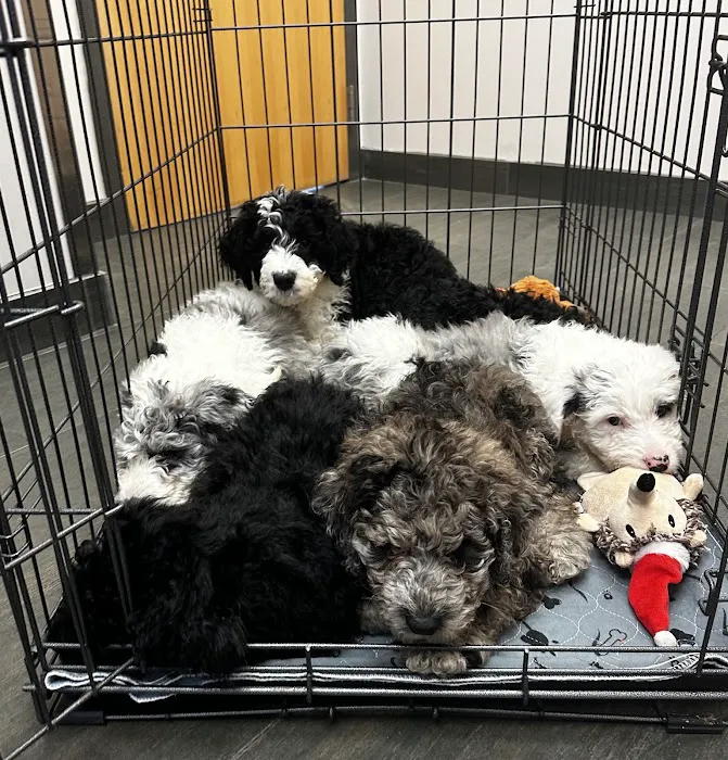 Lakeville Family Pet Clinic 1