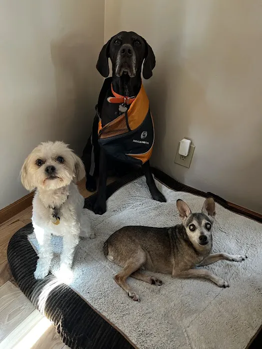 Akin Hills Pet Hospital 6