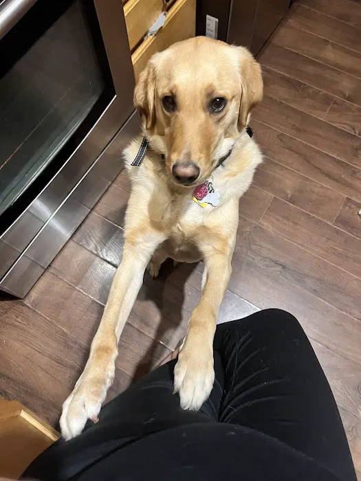 Akin Hills Pet Hospital 7