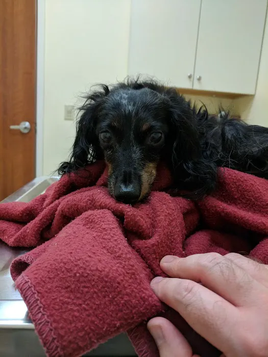West Central Ohio Veterinary 12