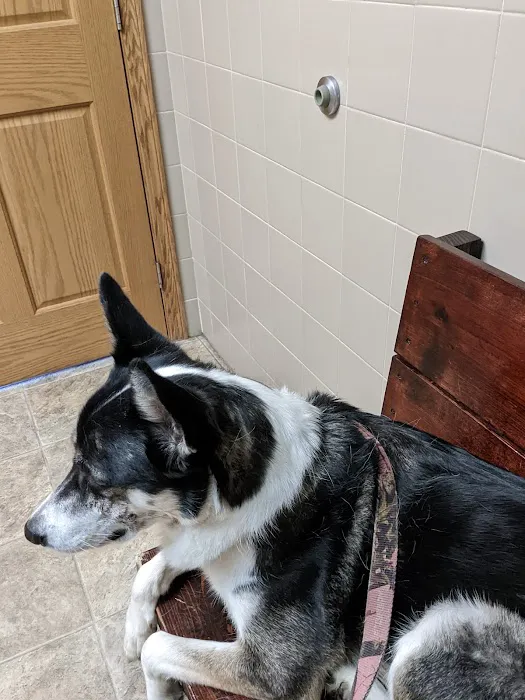 Auglaize Animal Hospital 12