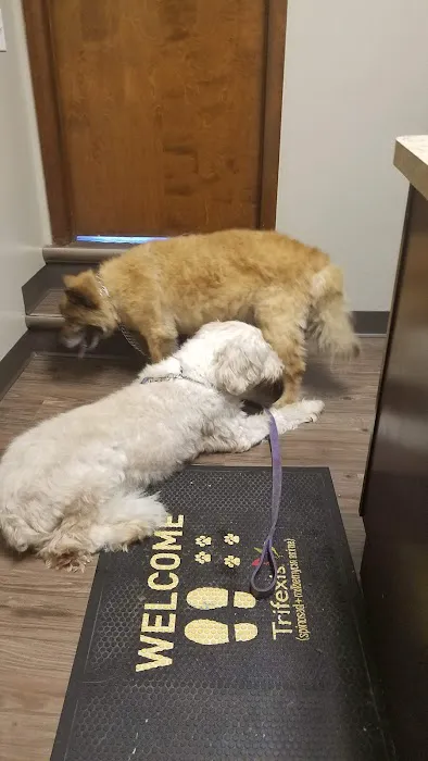 Heatherdowns Veterinary Clinic 9