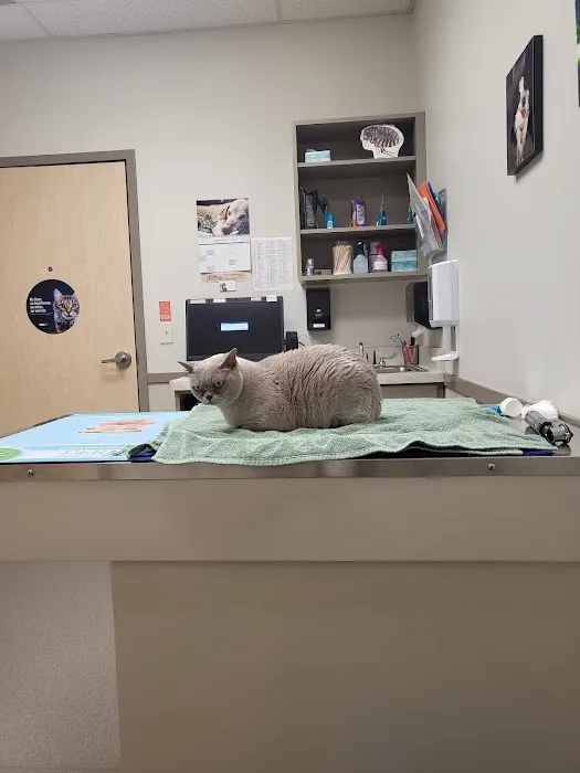 VCA Holly Farms Animal Hospital 12