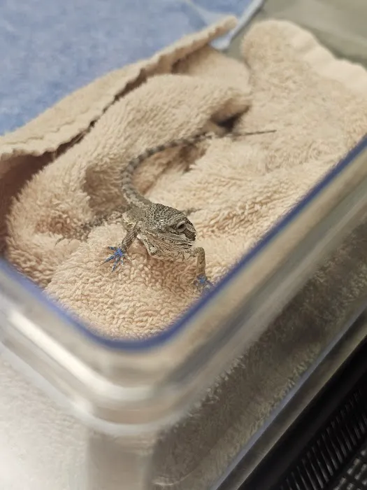 Hartman Veterinary Hospital 12