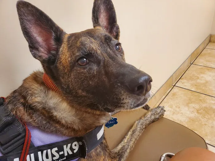 The West Suburban Animal Hospital 12