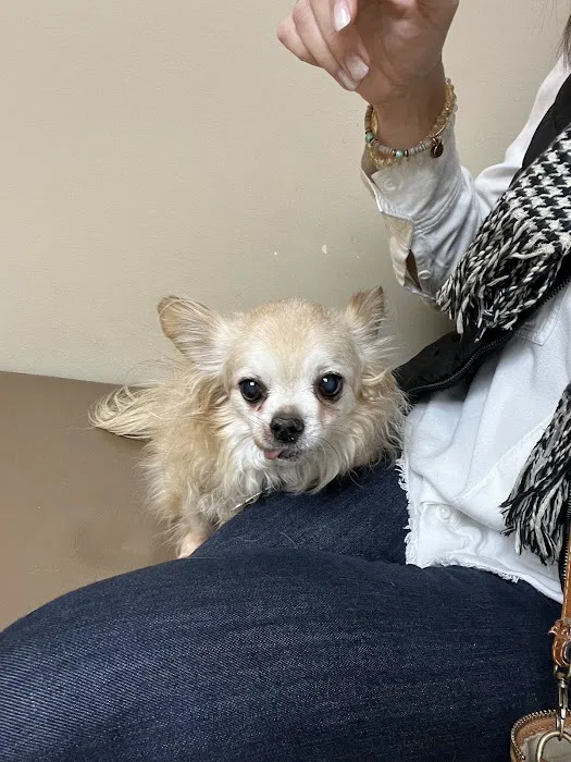 The West Suburban Animal Hospital 12