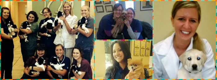 The West Suburban Animal Hospital 12