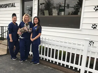 Airport Animal Hospital, Toledo: Dr. Cuesta DVM 9