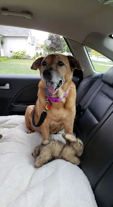 South Suburban Animal Hospital 12