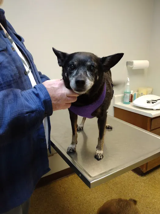 Midway Animal Hospital 3