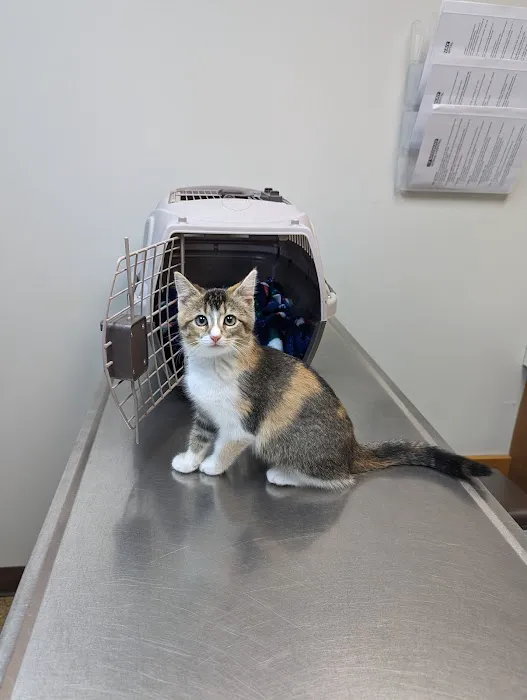 Midway Animal Hospital 4