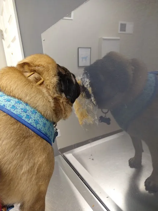 Animal Hospital at West Ridge 12
