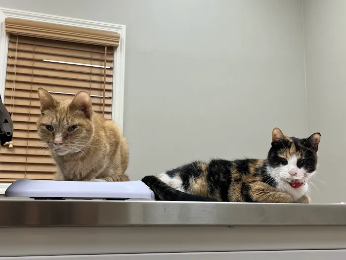 Animal Hospital at West Ridge 12