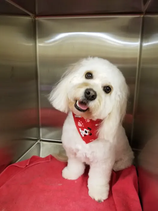 Crossroads Animal Hospital and Pet Resort 1