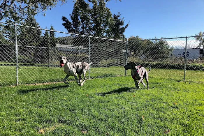 Crossroads Animal Hospital and Pet Resort 8