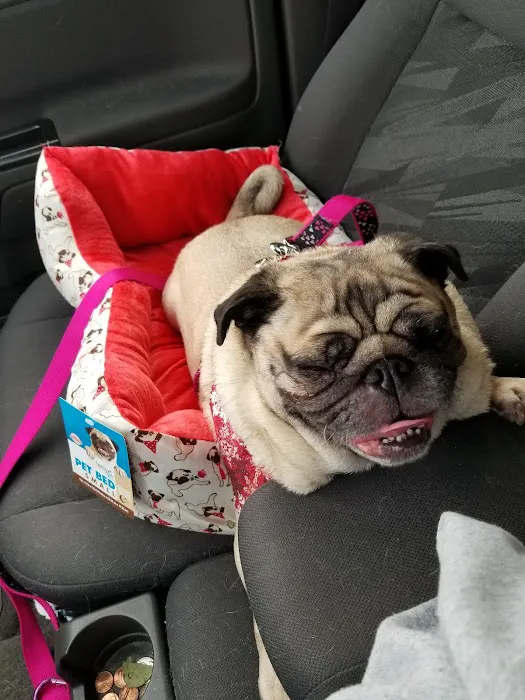 Crossroads Animal Hospital and Pet Resort 5