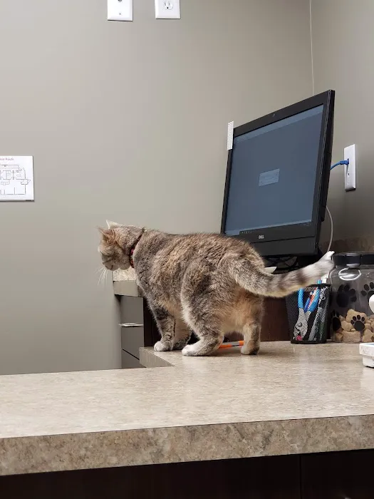 Crossroads Animal Hospital and Pet Resort 2