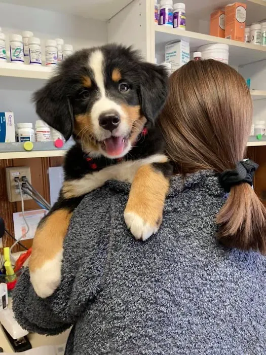 Dundee Veterinary Clinic 7