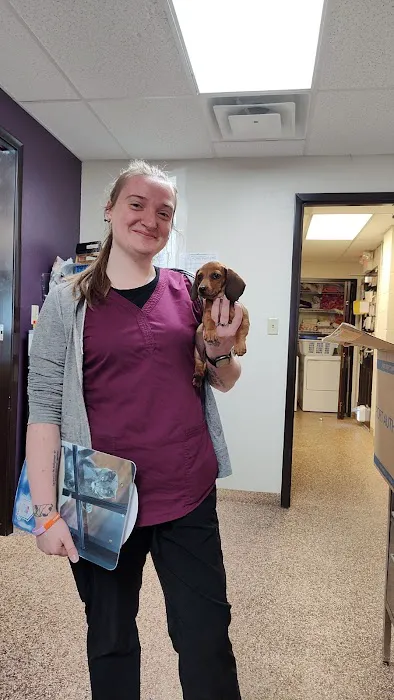 Paws & Claws Animal Hospital 10