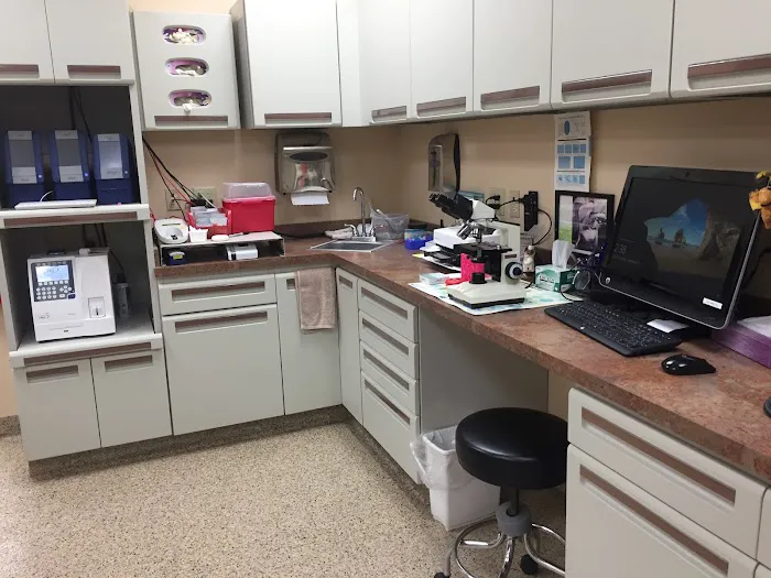 St Francis Veterinary Hospital 12