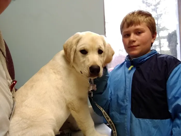 Animal Medical Center of Saline 7