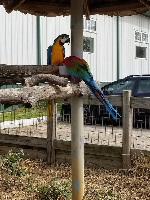 Animal Kingdom Veterinary Hospital 3