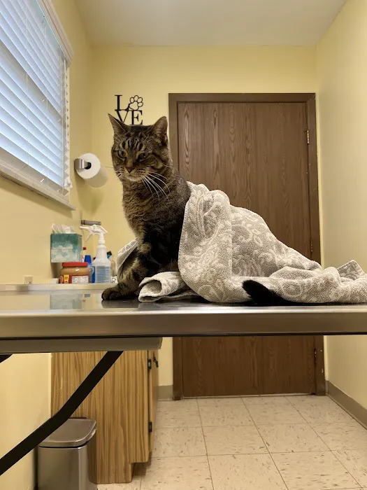 Lambertville Veterinary Clinic 6