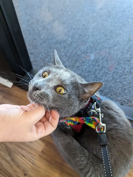 Lambertville Veterinary Clinic 3
