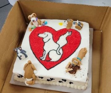 Temperance Animal Hospital