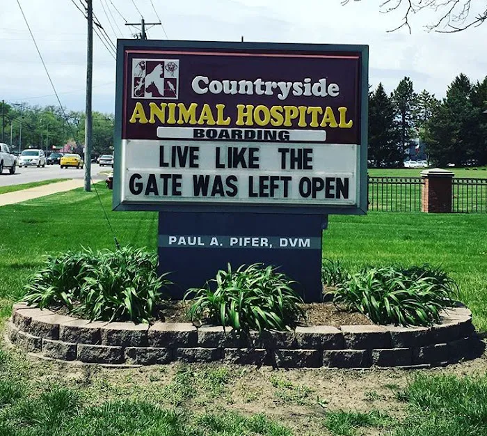 Countryside Animal Hospital: Pifer Paul DVM 12