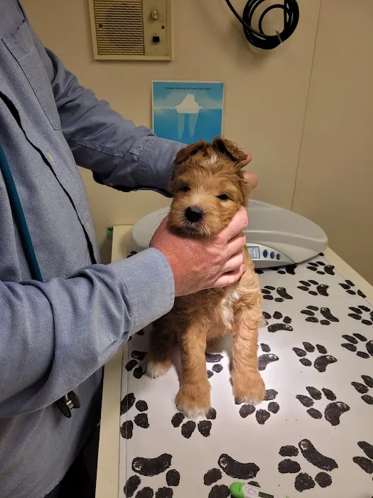 Countryside Animal Hospital: Pifer Paul DVM 12