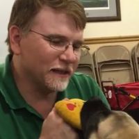 Countryside Animal Hospital: Pifer Paul DVM ico