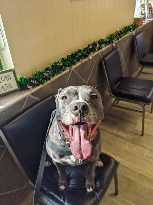 Countryside Animal Hospital: Pifer Paul DVM 12