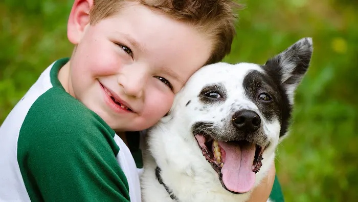 Countryside Animal Hospital 12