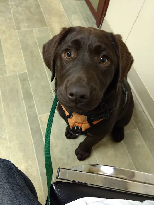 Countryside Animal Hospital 12